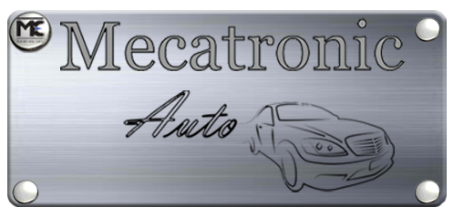 Mecatronic auto service